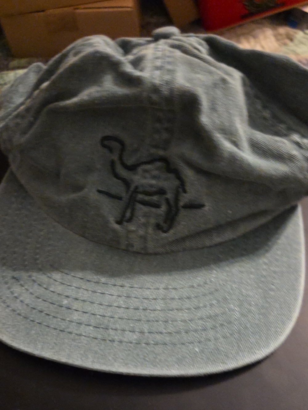 Camel Hat